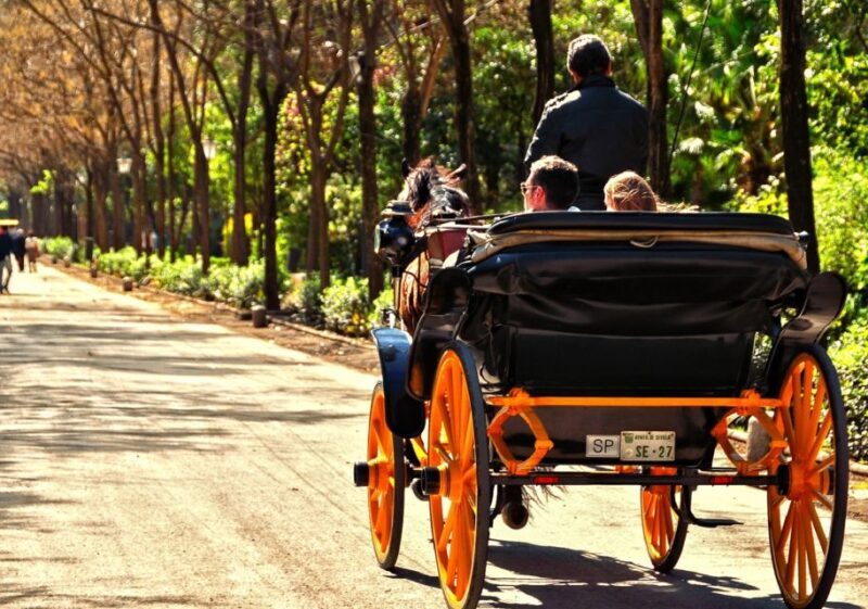 Horse-Drawn Carriage Ride Through Seville - What to Expect from the Horse-Drawn Carriage Ride in Seville