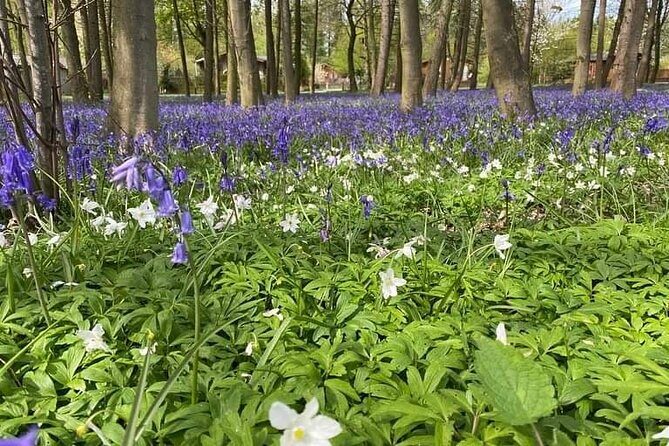 Horse drawn carriage ride york - Final Thoughts