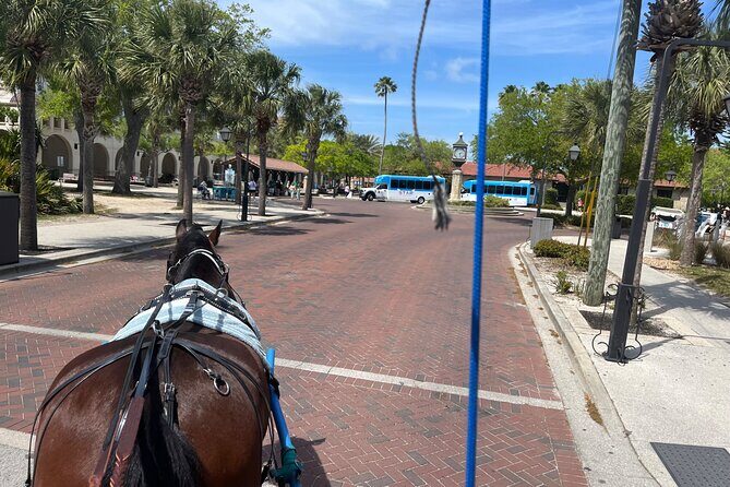 Horse-Drawn Carriage Tour of St Augustine - Final Thoughts