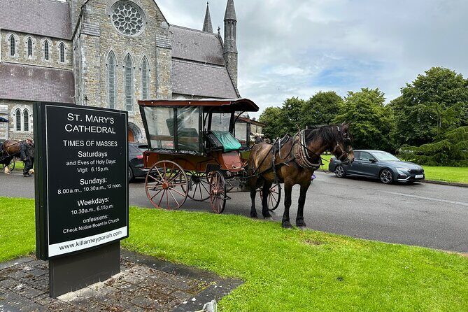 Horse-Drawn Carriage Tours in Killarney - What to Expect from the Horse-Drawn Carriage Tour in Killarney