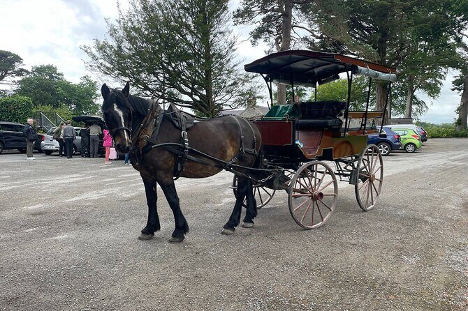 Horse-Drawn Carriage Tours in Killarney - Who Will Really Love This Experience?