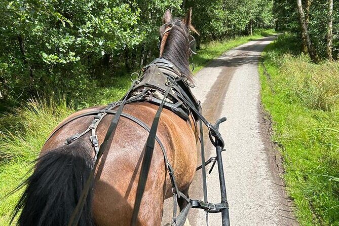Horse-Drawn Carriage Tours in Killarney - FAQs about the Horse-Drawn Carriage Tour in Killarney