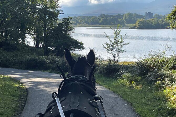 Horse-Drawn Carriage Tours in Killarney - Final Thoughts