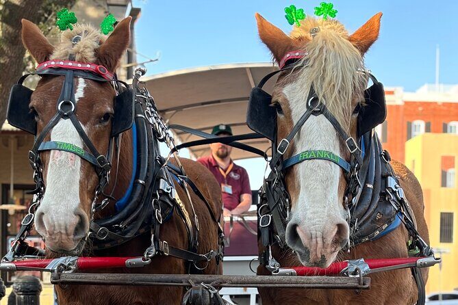 Horse Drawn Daytime Group Narrated Historic Overview Tour - A Detailed Look at the Savannah Horse-Drawn Experience