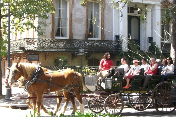 Horse Drawn Daytime Group Narrated Historic Overview Tour - Weather & Cancellation Considerations