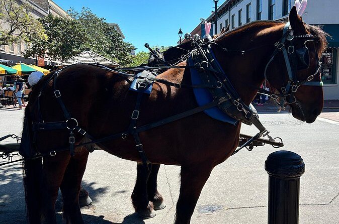Horse Drawn Daytime Group Narrated Historic Overview Tour - FAQs