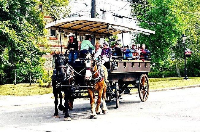 Horse Drawn Historical Guided Tour - The Sum Up