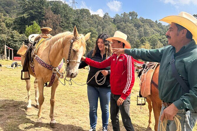 Horse experience with my family - Horse Experience with My Family: A Genuine Ride Through Mexico’s Countryside