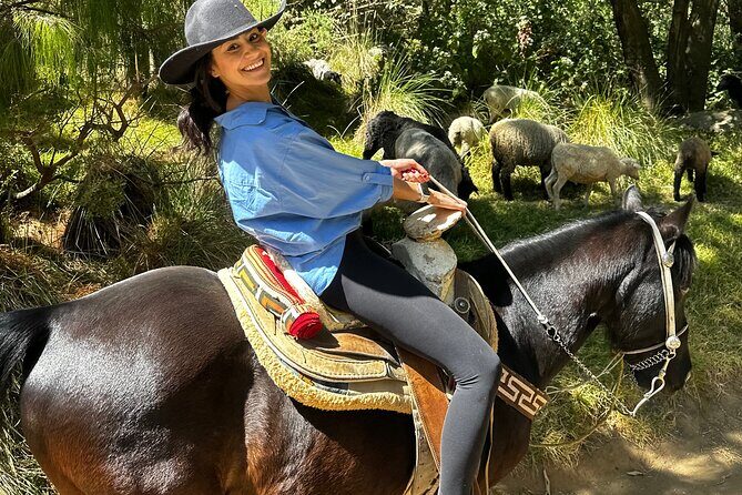 Horse experience with my family - The Sum Up