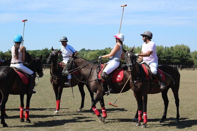 Horse & Polo in Windsor, UK - In-Depth Look at the Windsor Polo Tour