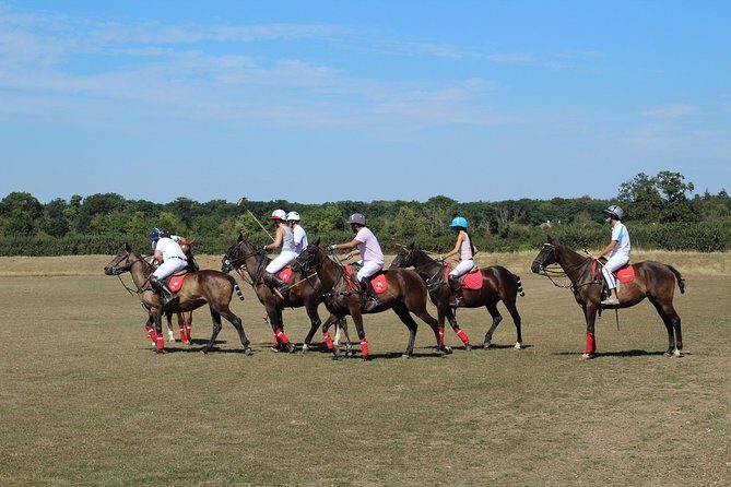 Horse & Polo in Windsor, UK - FAQ