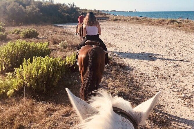 Horse ride in a Salento Nature Reserve with transfer from Lecce - Final Thoughts