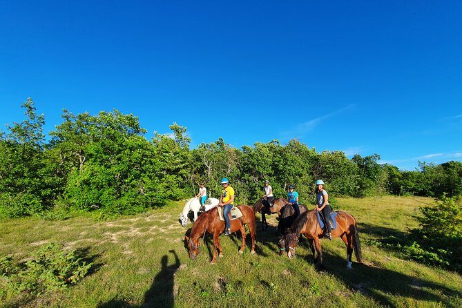Horse ride in Haute Provence Luberon and Forcalquier - Who Is This Tour Best For?