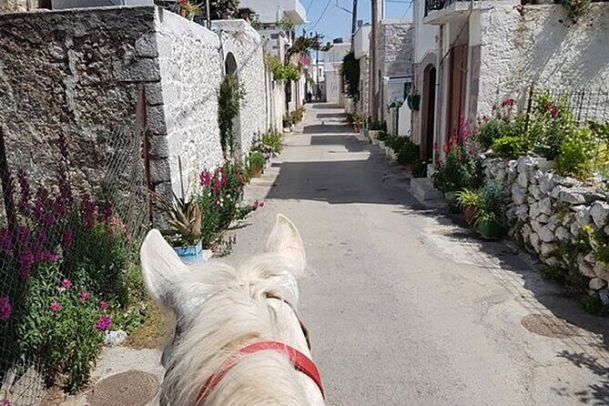 HORSE RIDING 1.5 hours mountains from area Hersonissos CRETE - Who Should Consider This Horse Riding Tour?