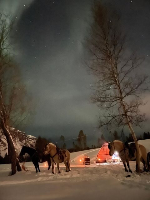 Horse riding and dining experience - What Is This Tour Really About?