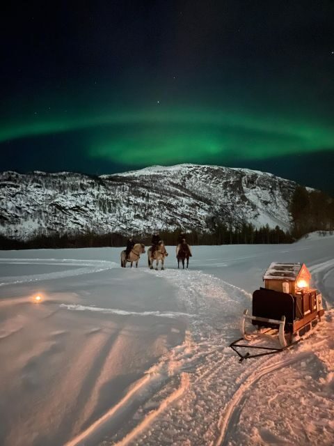 Horse riding and dining experience - The Horse Ride: Nature, Calm, and Connection
