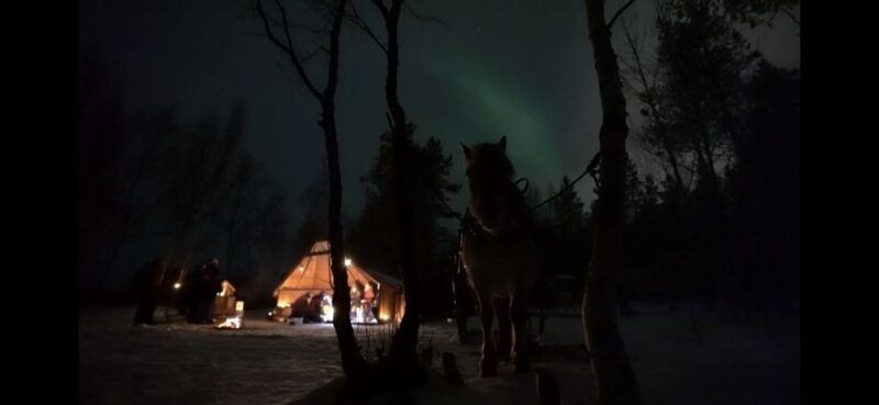 Horse riding and dining experience - Northern Lights: A Chance in Winter