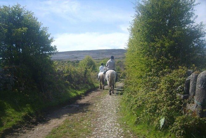 Horse riding - Burren Trail. Lisdoonvarna, Co Clare. Guided. 3 hours. - The Practicalities: Cost, Group Size, and Preparation