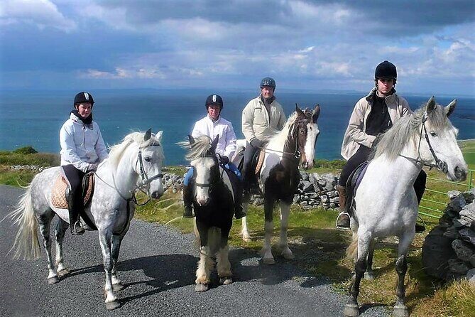 Horse riding - Dirt Trek Trail. Lisdoonvarna, Clare. Guided. 1 hour. - Who Is This Tour Best For?