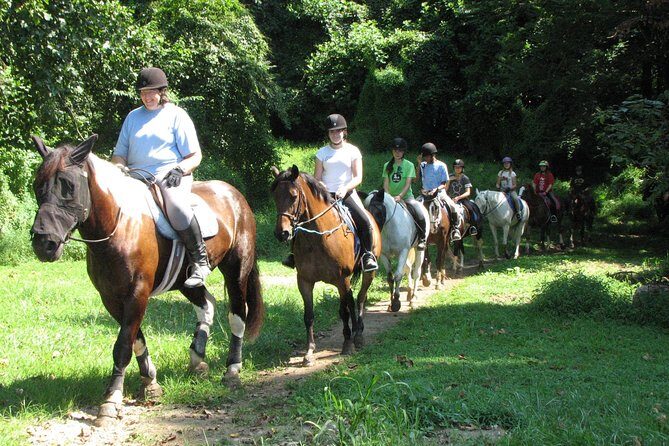 Horse riding excursion - Is This the Right Tour for You?