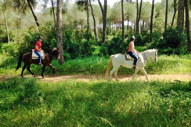 Horse Riding Excursion from Seville - What to Expect from the Horse Riding Excursion