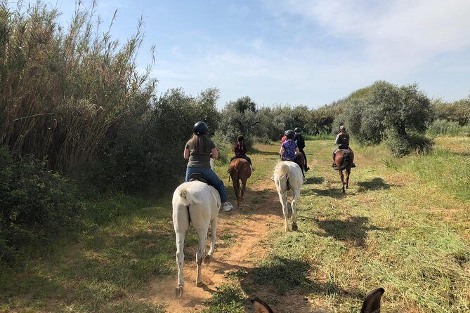Horse Riding Excursion from Seville - Practical Details