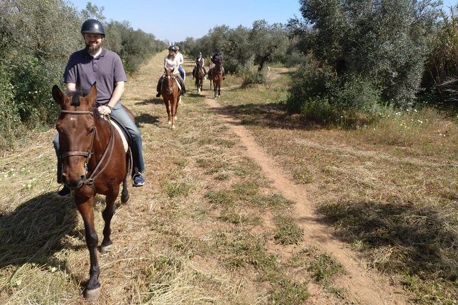 Horse Riding Excursion from Seville - Review Highlights from Past Travelers