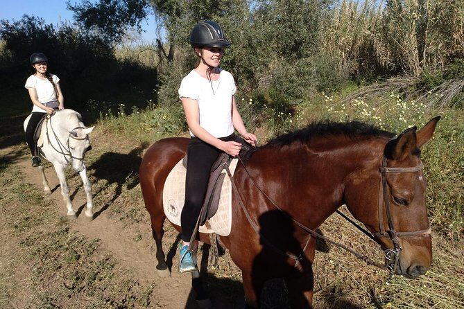 Horse Riding Excursion from Seville - Final Thoughts: Is It Worth It?