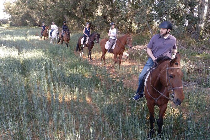 Horse Riding Excursion from Seville - FAQ