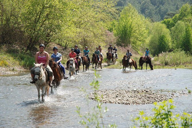 Horse Riding Experience in Marmaris with Transfer - What to Expect from the Horseback Riding Tour in Marmaris