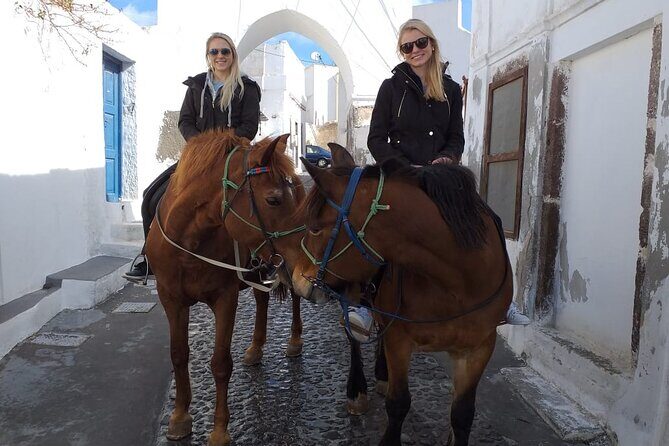 Horse Riding--Explore secret Thera - What to Expect from the Santorini Horseback Riding Tour