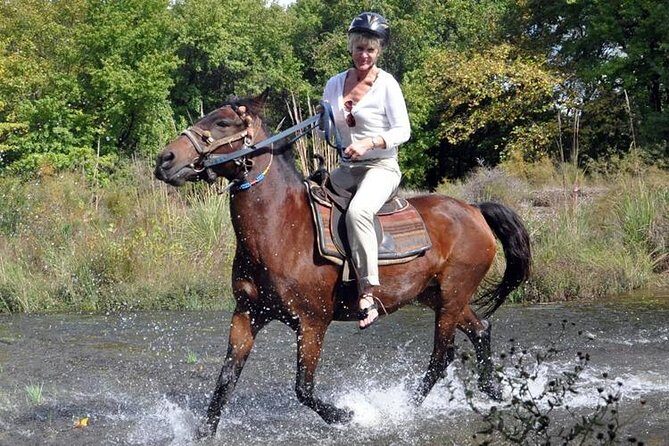 Horse Riding From Kusadasi Port / Hotels - Who This Tour Is Best For