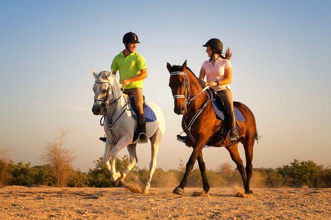 Horse Riding in Antalya,Belek,Lara Beach(Sunrise,Sunset,Day Time) - What the Tour Offers