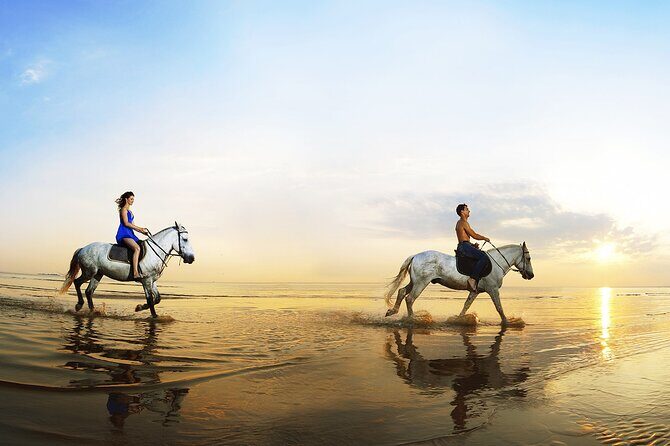 Horse Riding in Antalya,Belek,Lara Beach(Sunrise,Sunset,Day Time) - What’s Included and What’s Not