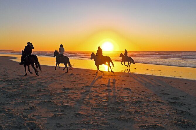 Horse Riding in Antalya,Belek,Lara Beach(Sunrise,Sunset,Day Time) - Practical Tips for Booking and Enjoying