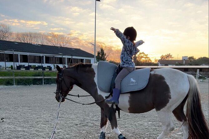 Horse Riding in Aveiro - Ílhavo - What to Expect from the Horseback Ride in Aveiro