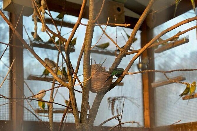Horse Riding in Aveiro - Ílhavo - Who Will Love This Experience?