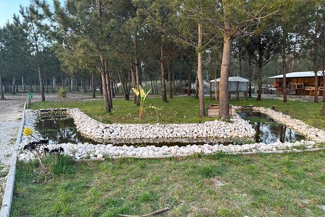 Horse Riding in Aveiro - Ílhavo - The Sum Up