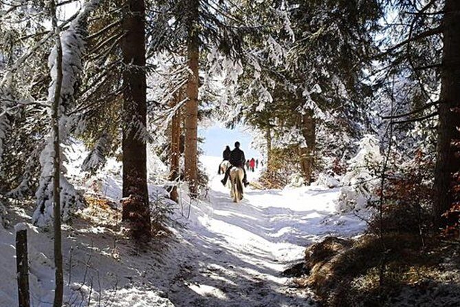 Horse Riding in Bled - Key Points