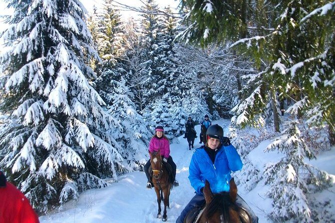 Horse Riding in Bled - What to Expect on the Horse Riding Tour in Bled