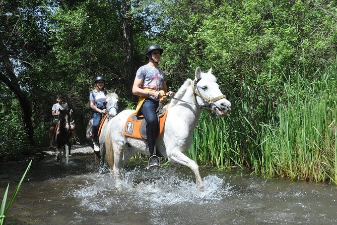Horse Riding in Fethiye - What to Expect from the Horseback Riding Tour