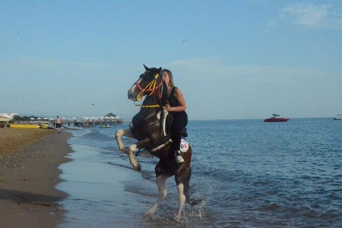 Horse Riding in Manavgat Side Forest and Beach - An In-Depth Look at the Horseback Riding Experience