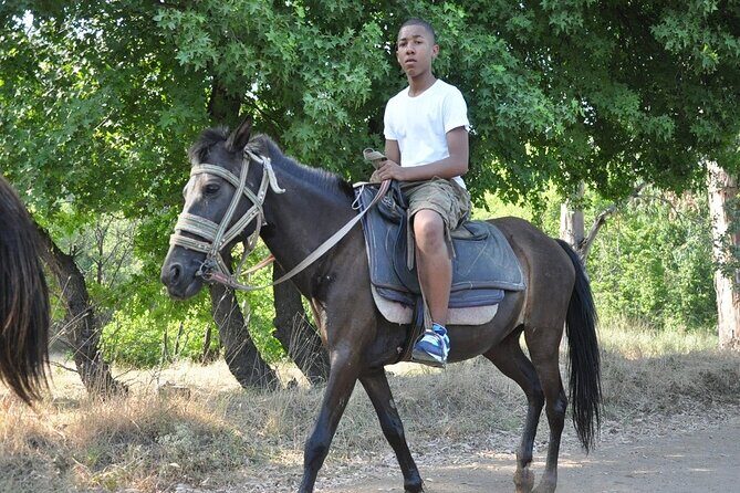 Horse Riding in Marmaris & Icmeler - What to Expect from the Horse Riding Tour