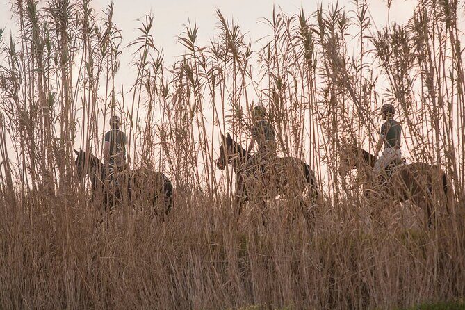 Horse Riding in the Countryside - Final Thoughts