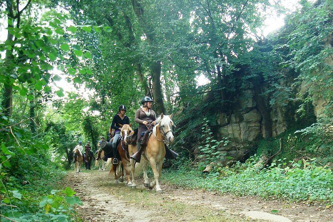 Horse riding in the French countryside - Exploring What You Can Expect from the Horseback Riding Tour in Picardy