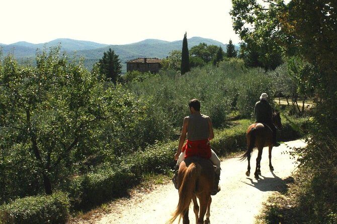 Horse Riding in Tuscany for Experienced Riders: Full-day Trail Ride - Exploring Tuscany on Horseback: The Experience in Detail