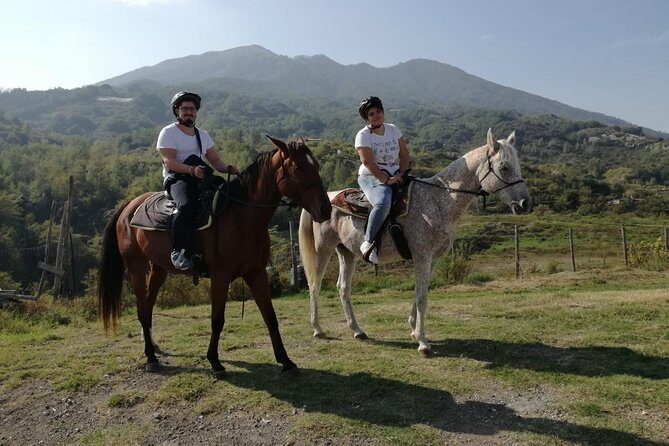 Horse Riding on Mount Vesuvius - What the Reviews Say
