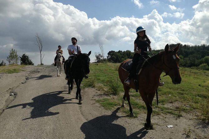 Horse Riding on Mount Vesuvius - Who Is This Tour Perfect For?