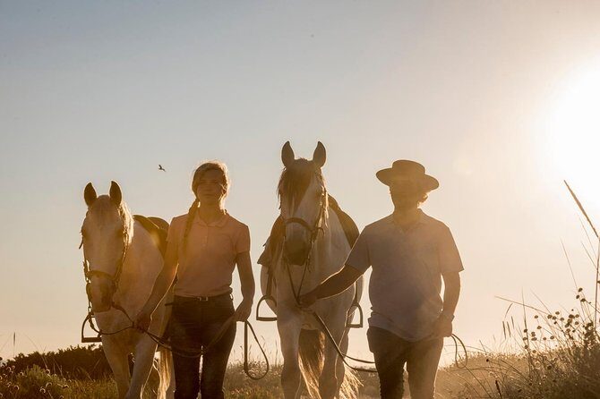 Horse Riding on the Beach - Exploring the Tour in Detail