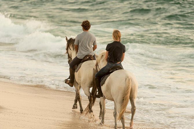 Horse Riding on the Beach - Who Should Consider This Tour?